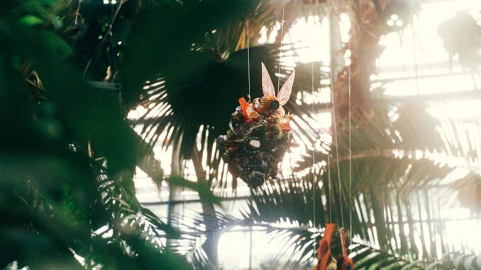CImages0d36c968-9523-4869-a88f-4990d758a7af